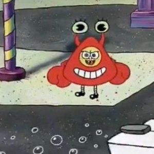 Meet your Posher, Lexi